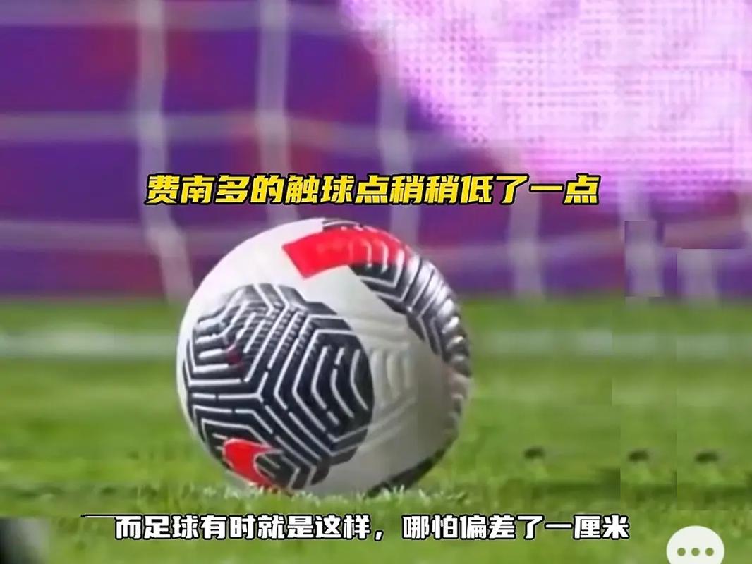 的双玻组件